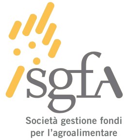 BOOK PRESENTAZIONE centro